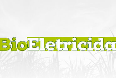 Bioeletricidade