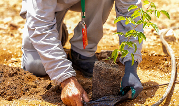 Juazeiro – BA sedia de 18 a 20 de agosto a 14ª edição do Desafio dos  Sertões – Agrovale