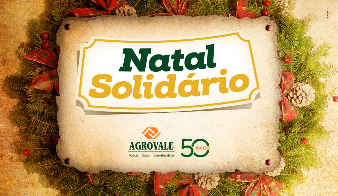 banner-1170-x-980px-natal-solidario_agrovale