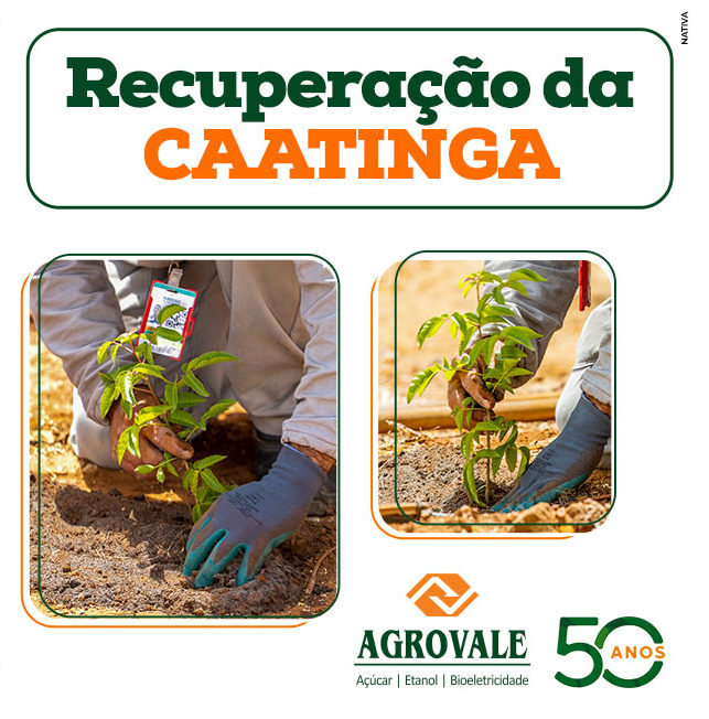 banner-1170-x-980px-recup-da-caatinga_agrovale