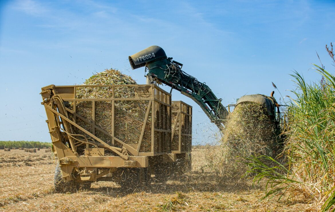 Programa da Agrovale vai doar 5 mil toneladas de palhada a pequenos criadores