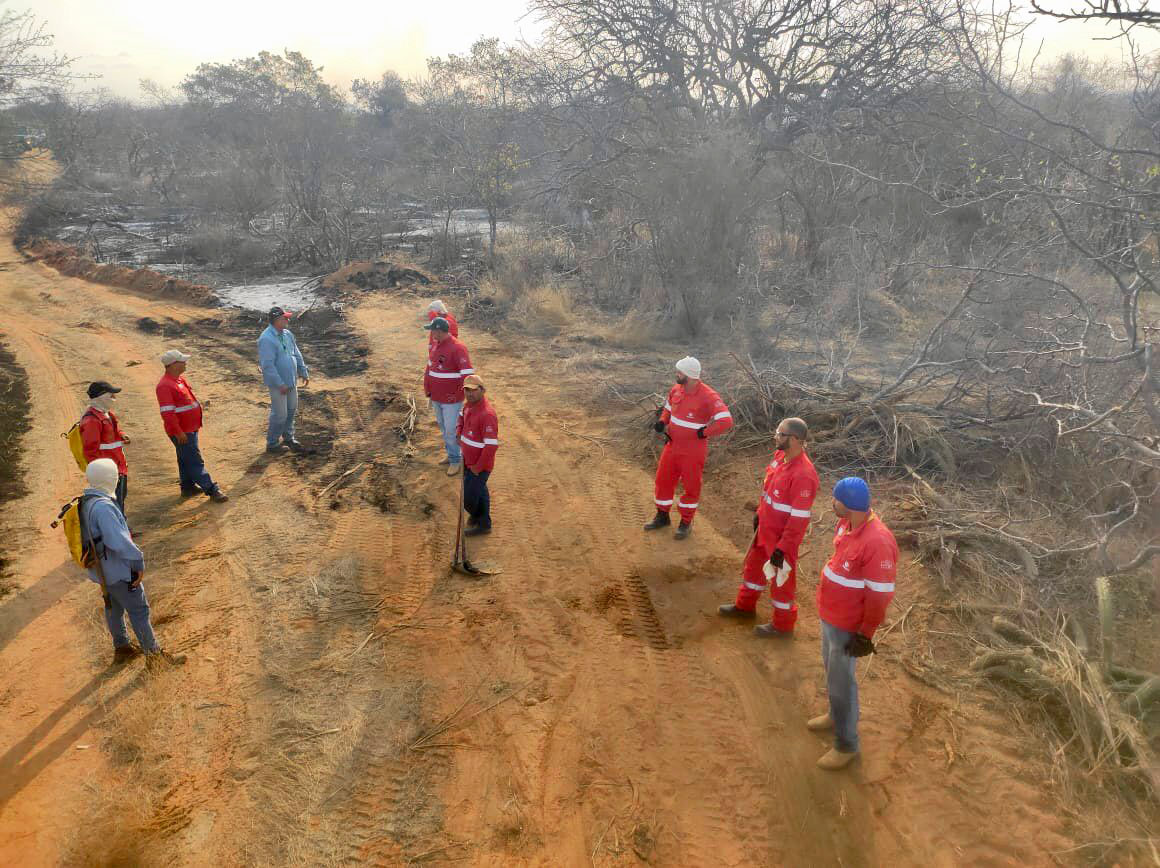 Brigada da Agrovale ajuda a apagar incêndios em cerca de 800 hectares de caatinga