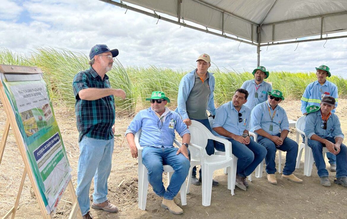 Agrovale comemora 52 anos de excelência sucroenergética