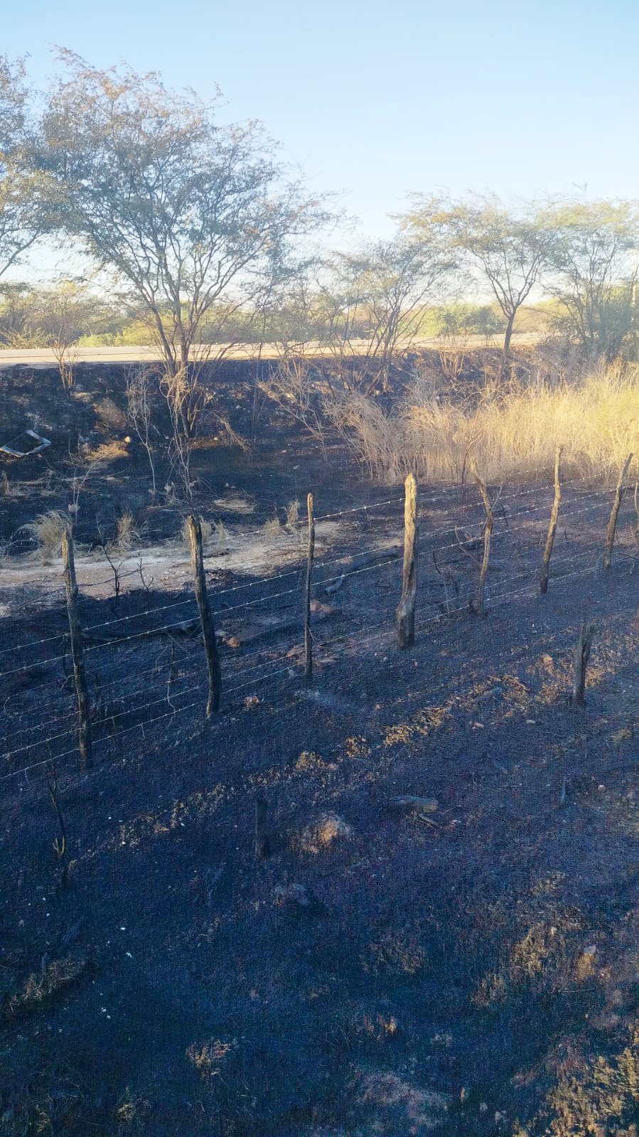 Brigada da Agrovale ajuda a apagar incêndios em Juazeiro e região
