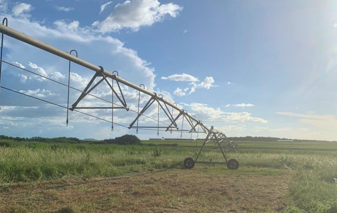 Agrovale renova parceria com o IF Sertão-PE
